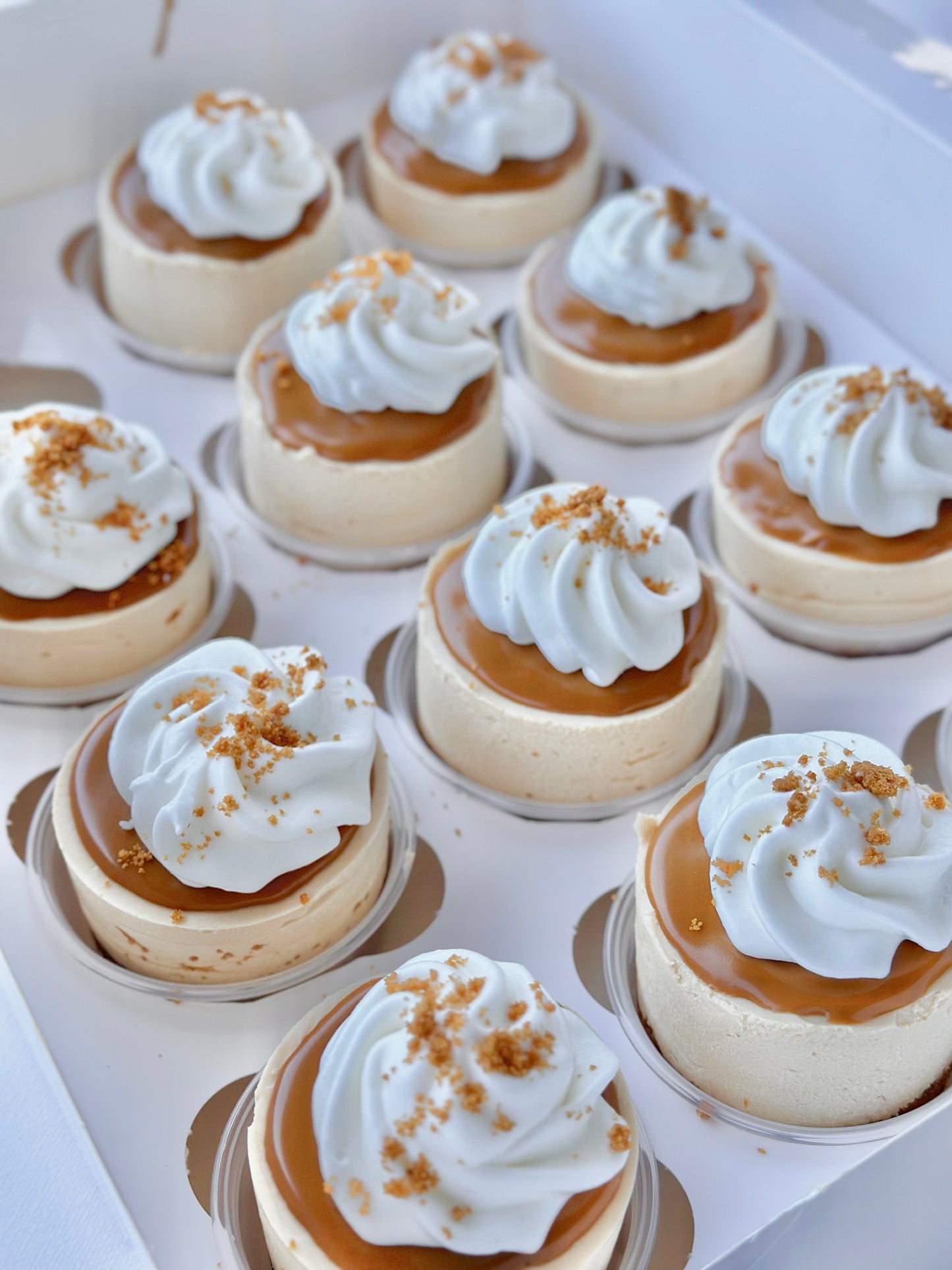 Mini Cheesecake